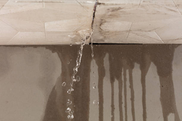 Professional Flood Damage Cleanup technician working in Grand Marsh, WI